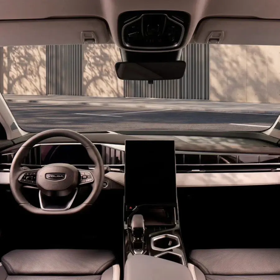 25245161_100